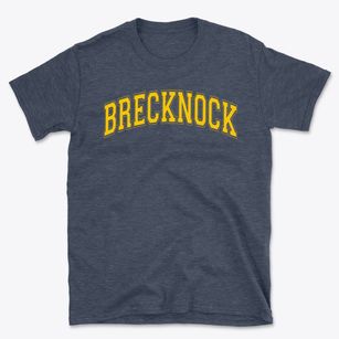 Brecknock Elementary School Varsity Arch Basic T-Shirt
