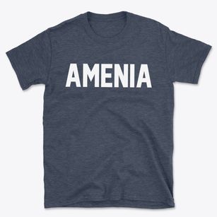 Amenia New York Classic Block Basic T-Shirt