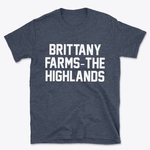 Brittany Farms-the Highlands Pennsylvania Classic Block Basic T-Shirt