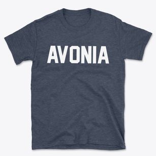 Avonia Pennsylvania Classic Block Basic T-Shirt