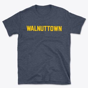 Walnuttown Pennsylvania Classic Block Basic T-Shirt