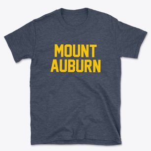 Mount Auburn Iowa Classic Block Basic T-Shirt