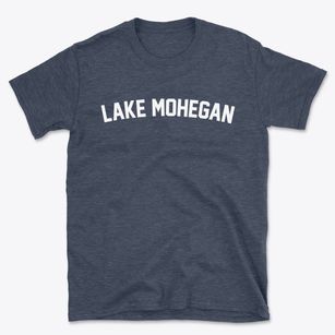 Lake Mohegan New York Classic Curve Basic T-Shirt