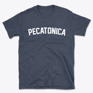 Pecatonica Illinois Classic Curve Basic T-Shirt
