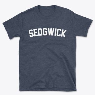 Sedgwick Kansas Classic Curve Basic T-Shirt