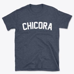 Chicora Pennsylvania Classic Curve Basic T-Shirt