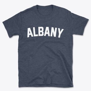 Albany New York Classic Curve Basic T-Shirt