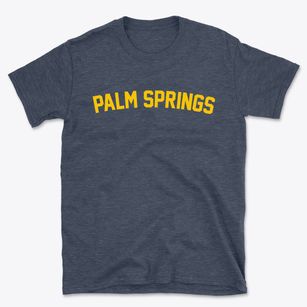 Palm Springs California Classic Curve Basic T-Shirt