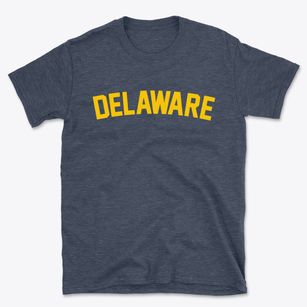 Delaware New York Classic Curve Basic T-Shirt