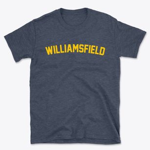 Williamsfield Illinois Classic Curve Basic T-Shirt