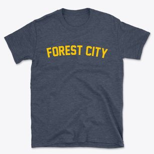 Forest City Missouri Classic Curve Basic T-Shirt
