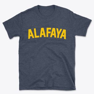 Alafaya Florida Classic Curve Basic T-Shirt