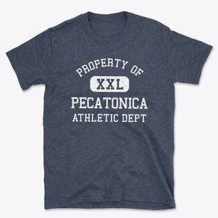 Pecatonica Illinois Athletic Dept Basic T-Shirt
