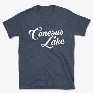 Conesus Lake New York Vintage Team Basic T-Shirt