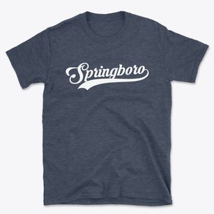 Springboro Ohio Vintage Team Basic T-Shirt