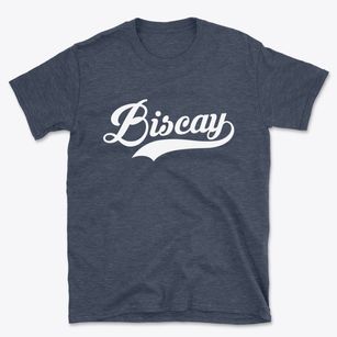 Biscay Minnesota Vintage Team Basic T-Shirt