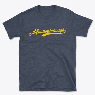 Moultonborough New Hampshire Vintage Team Basic T-Shirt