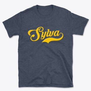 Sylva North Carolina Vintage Team Basic T-Shirt