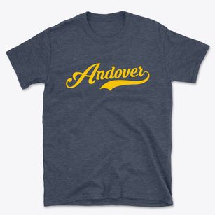 Andover New York Vintage Team Basic T-Shirt