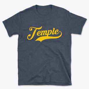 Temple New Hampshire Vintage Team Basic T-Shirt