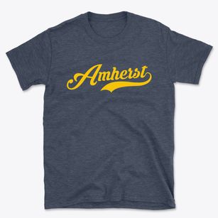 Amherst Wisconsin Vintage Team Basic T-Shirt
