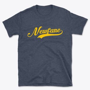 Newfane New York Vintage Team Basic T-Shirt