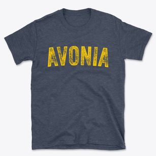 Avonia Pennsylvania Timeless Retro Basic T-Shirt