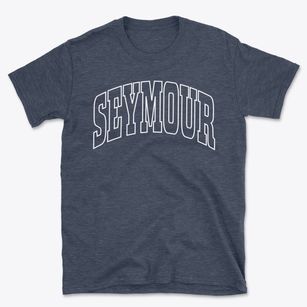 Seymour Missouri Trendy Block Basic T-Shirt