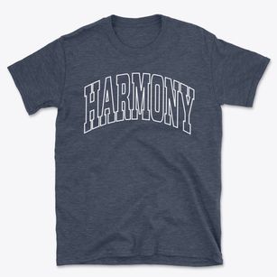 Harmony Maine Trendy Block Basic T-Shirt