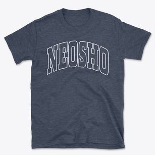 Neosho Missouri Trendy Block Basic T-Shirt