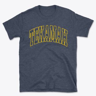 Tekamah Nebraska Trendy Block Basic T-Shirt