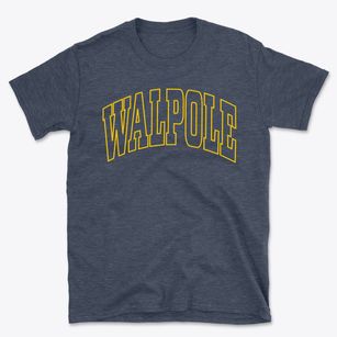 Walpole Massachusetts Trendy Block Basic T-Shirt