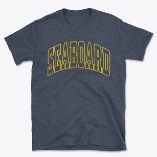 Seaboard North Carolina Trendy Block Basic T-Shirt