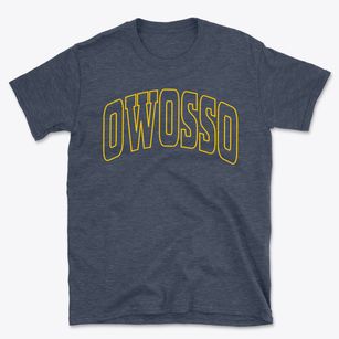 Owosso Michigan Trendy Block Basic T-Shirt