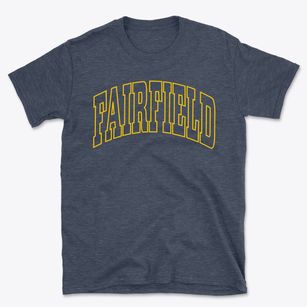 Fairfield Iowa Trendy Block Basic T-Shirt