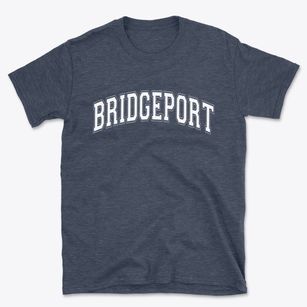 Bridgeport Michigan Varsity Basic T-Shirt