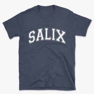 Salix Pennsylvania Varsity Basic T-Shirt