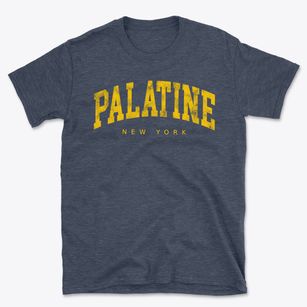 Palatine New York Urban Vibe Basic T-Shirt