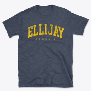 Ellijay Georgia Urban Vibe Basic T-Shirt