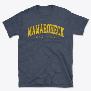 Mamaroneck New York Urban Vibe Basic T-Shirt