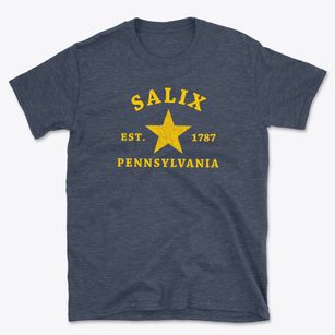 Salix Pennsylvania Star Basic T-Shirt