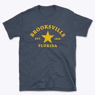 Brooksville Florida Star Basic T-Shirt