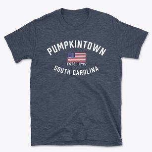 Pumpkintown South Carolina Patriot Basic T-Shirt
