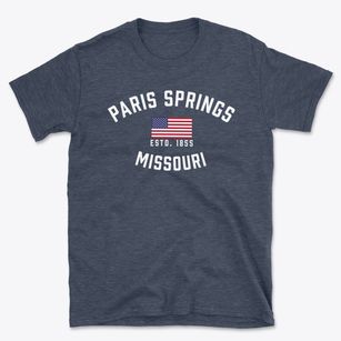 Paris Springs Missouri Patriot Basic T-Shirt