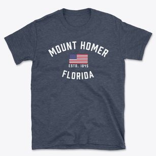 Mount Homer Florida Patriot Basic T-Shirt