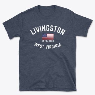 Livingston West Virginia Patriot Basic T-Shirt