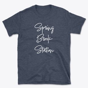 Spring Brook Station New York Freestyle Basic T-Shirt