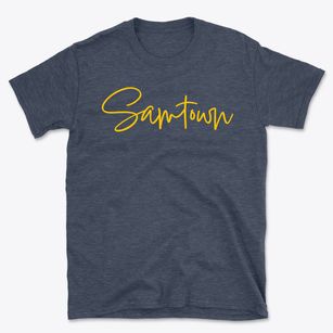 Samtown Missouri Freestyle Basic T-Shirt