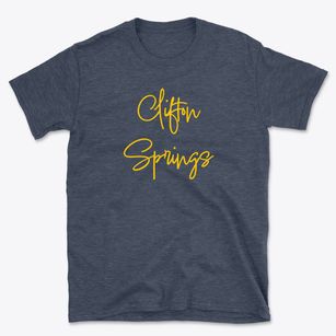 Clifton Springs New York Freestyle Basic T-Shirt