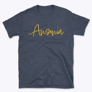 Ansonia Connecticut Freestyle Basic T-Shirt